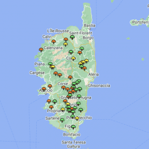 Carte girolles Corse