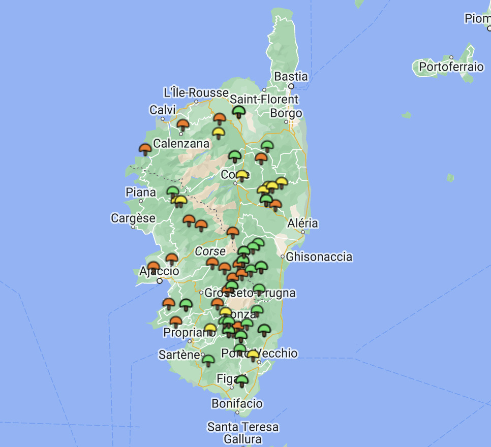 Carte girolles Corse