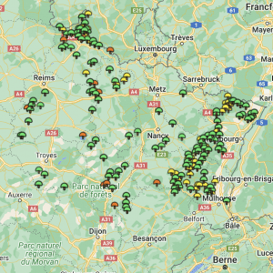 Carte girolles Grand Est