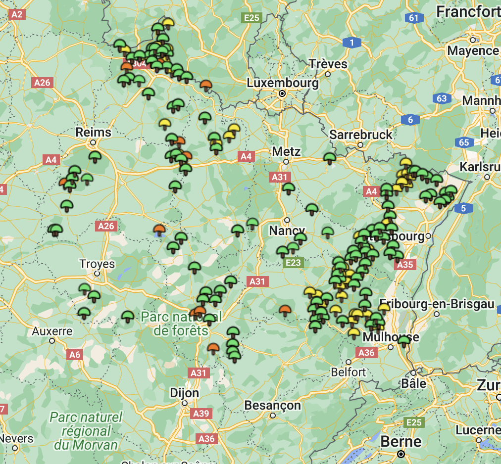 Carte girolles Grand Est