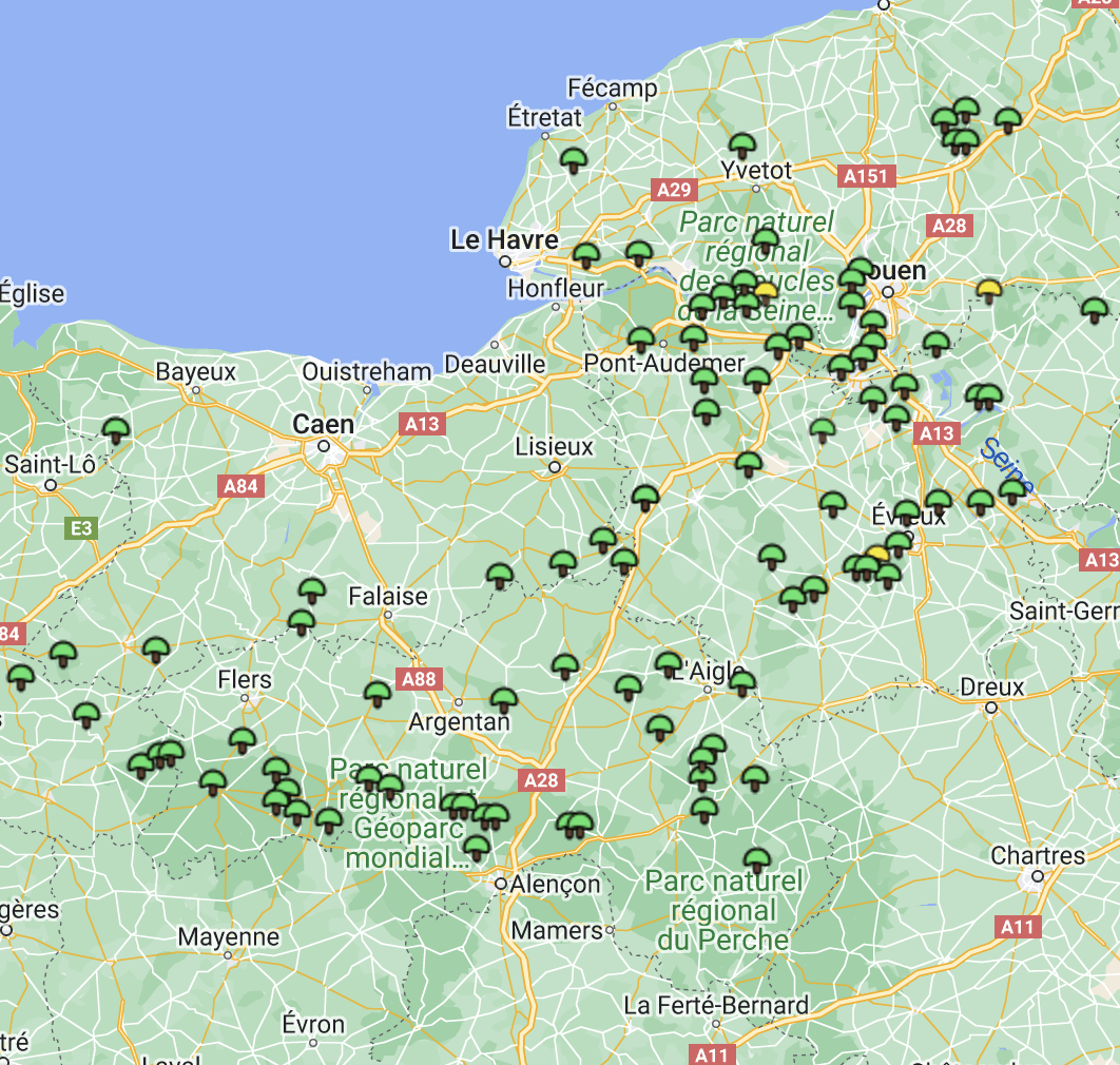 Carte girolles Normandie