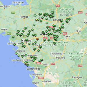 Carte girolles Pays de la Loire