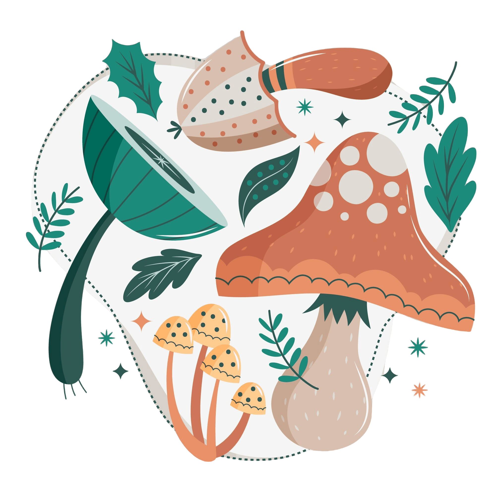 illustration champignons