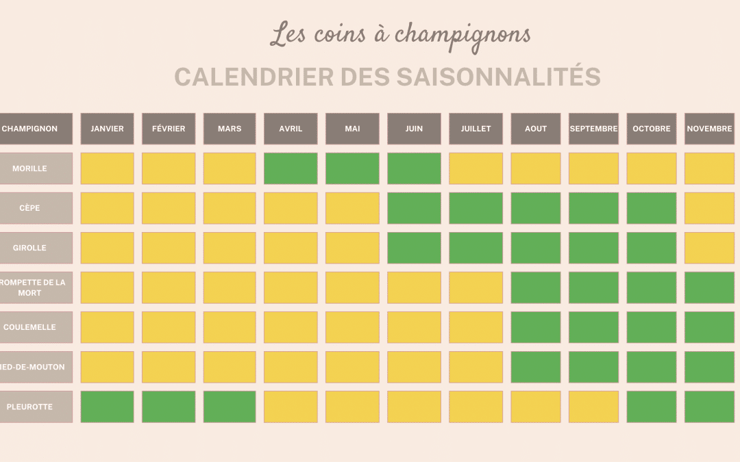 Saison des champignons et calendrier