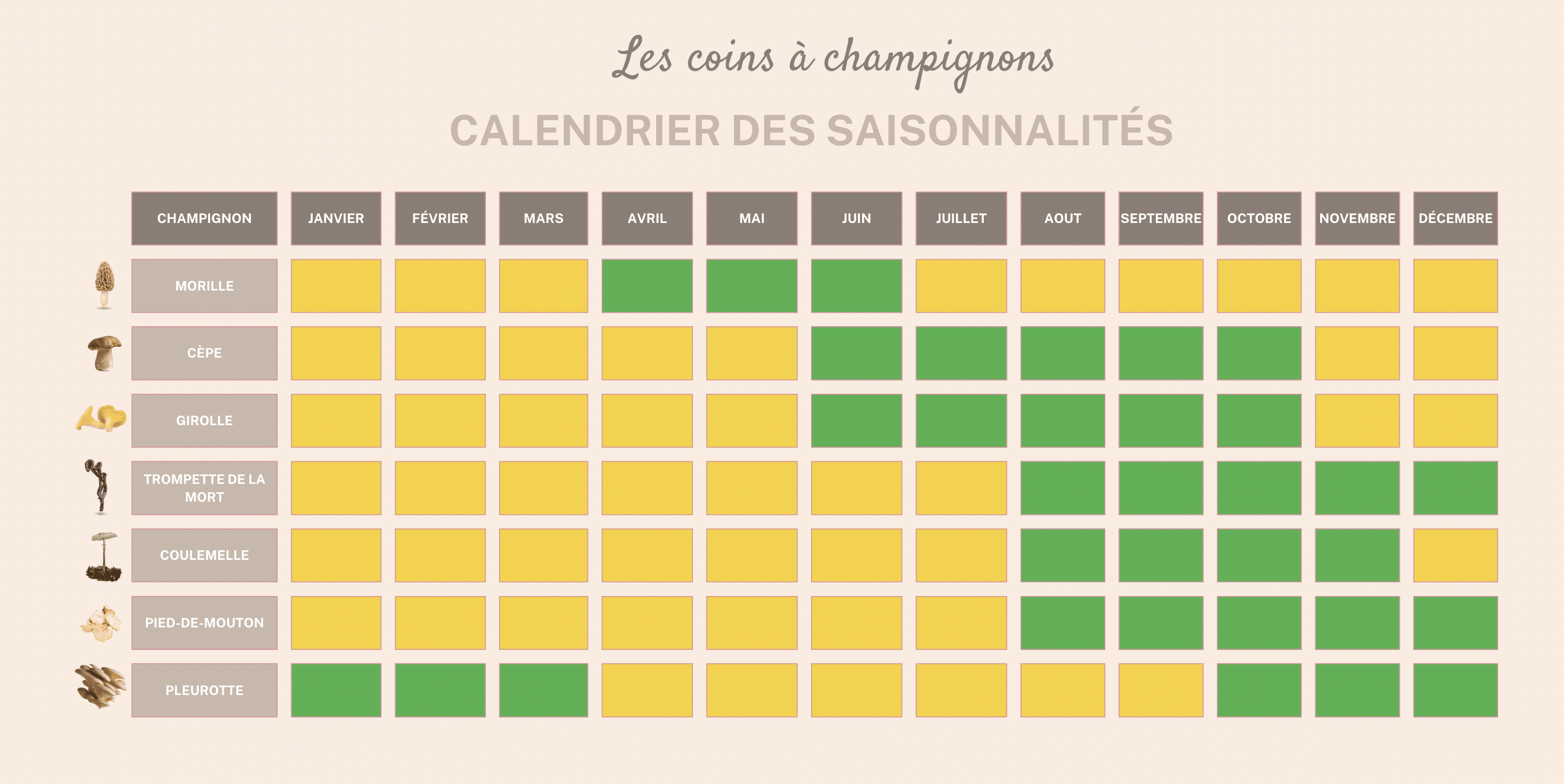 calendrier des champignons