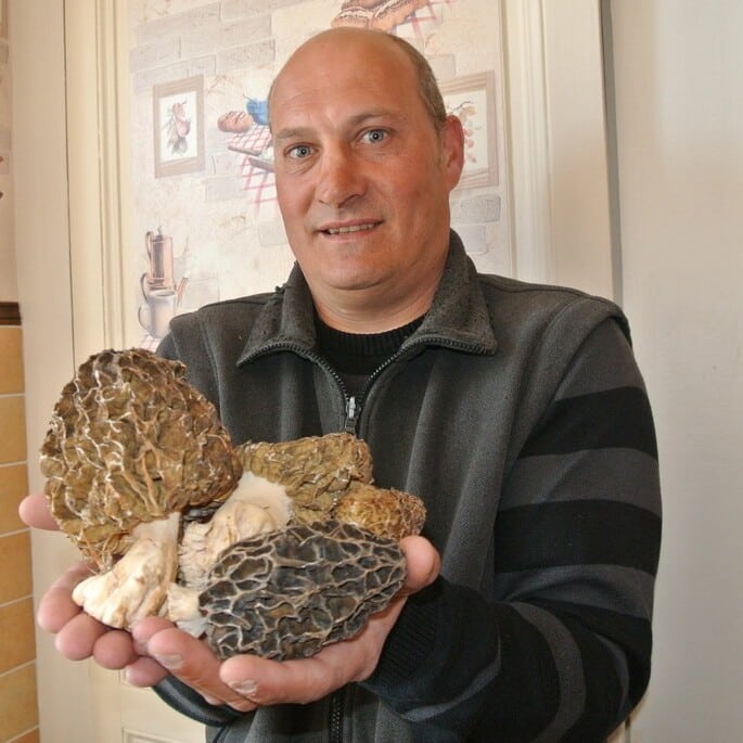 recolte morilles