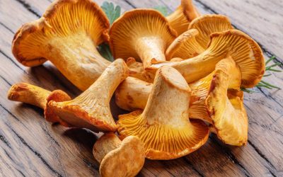 Comment nettoyer les girolles : astuces simples